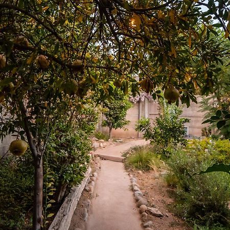 Villa Casa Doris Vicuña Esterno foto