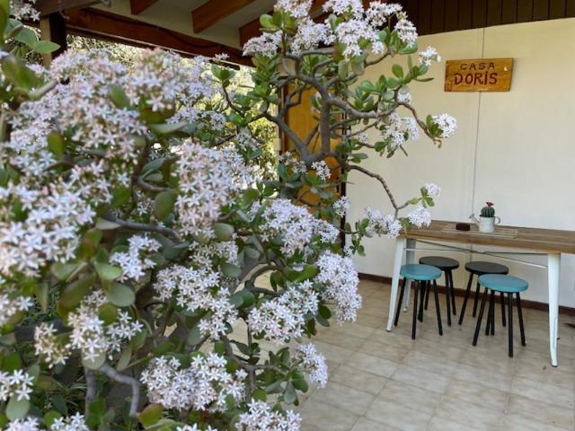 Villa Casa Doris Vicuña Esterno foto