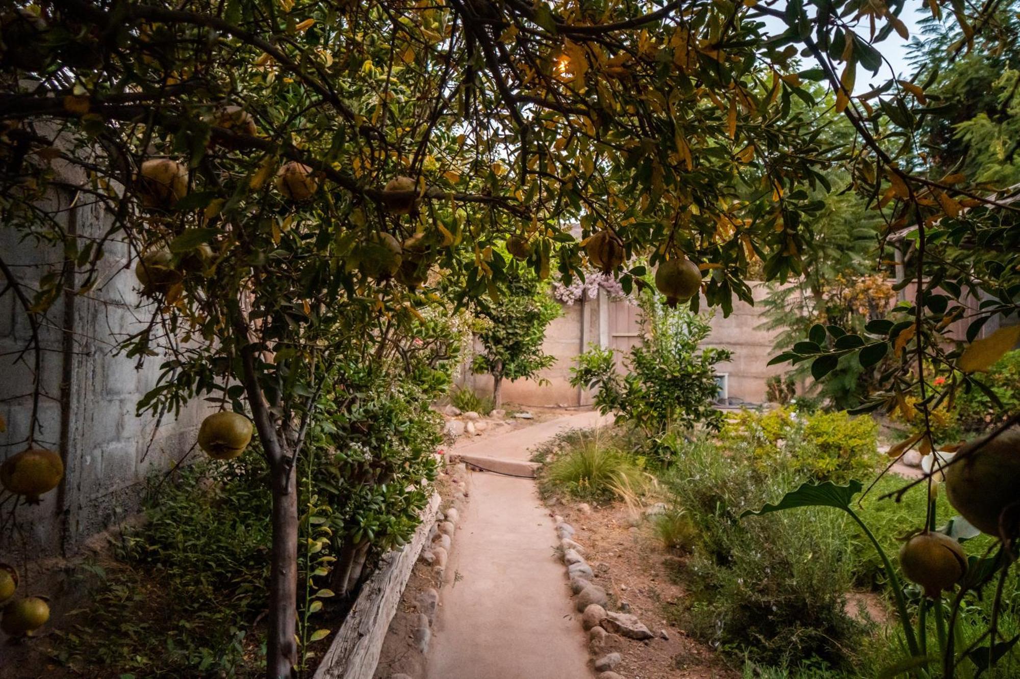 Villa Casa Doris Vicuña Esterno foto
